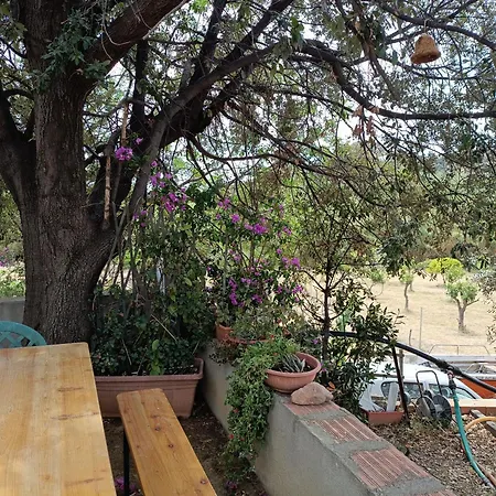Apartment Villaloddo1 Frontemare Tertenia