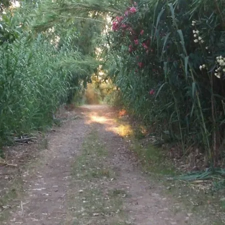 Villaloddo1 Frontemare