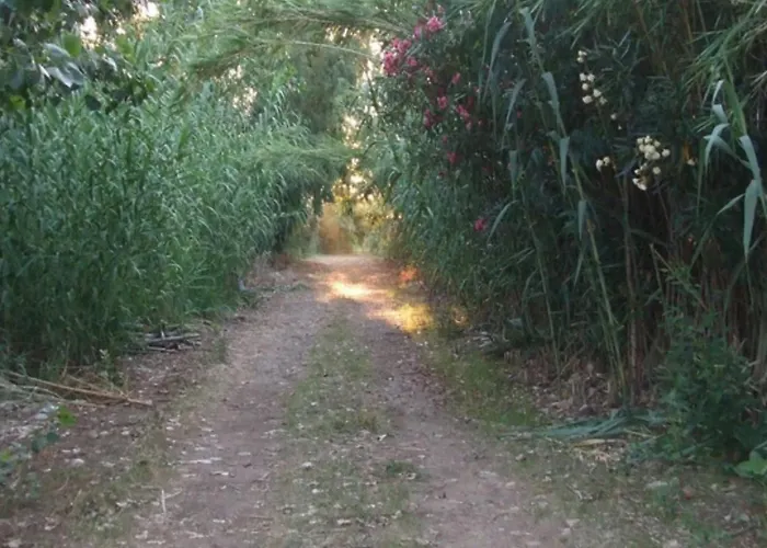 Villaloddo1 Frontemare