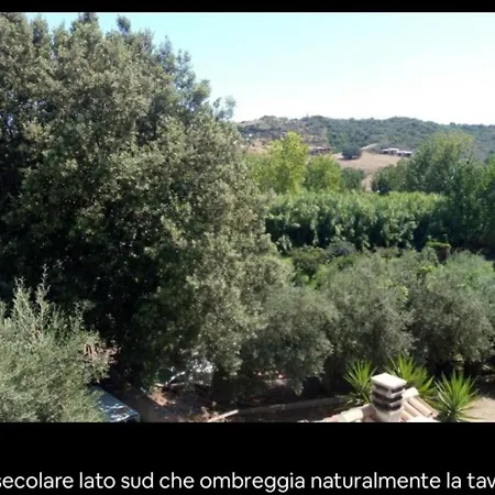 公寓 Villaloddo1 Frontemare Tertenìa