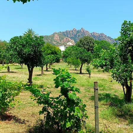 Villaloddo1 Frontemare