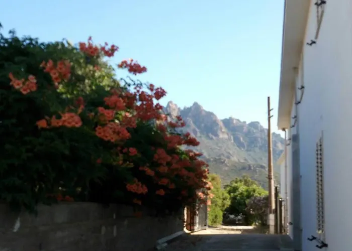 Apartman Villaloddo1 Frontemare *