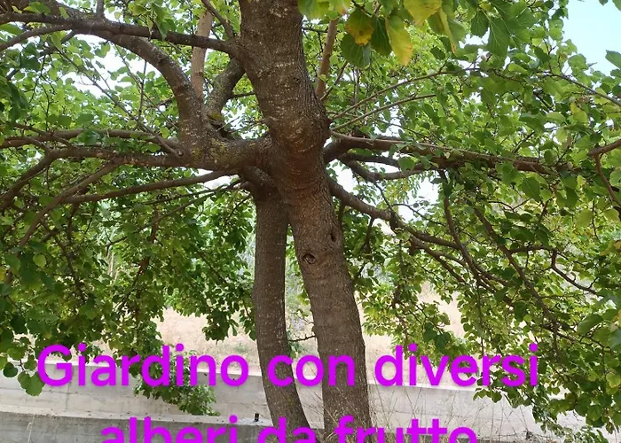 Villaloddo1 Frontemare * Tertenìa