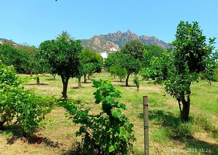 Villaloddo1 Frontemare